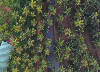 Aerial View of Agonda Backwaters and Kayaks South Goa