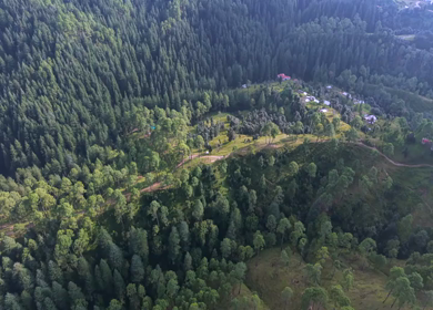 Aerial View of Almora Hills, Dense Forests and Terraced Fields in Uttarakhand