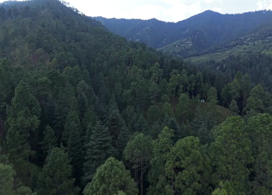 Aerial View of Almora Hills, Dense Forests and Terraced Fields in Uttarakhand