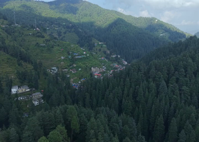 Aerial View of Almora Hills, Dense Forests and Terraced Fields in Uttarakhand