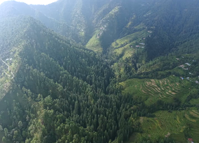Aerial View of Almora Hills, Dense Forests and Terraced Fields in Uttarakhand