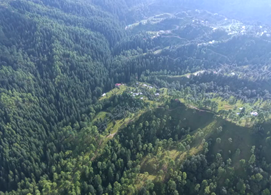 Aerial View of Almora Hills, Dense Forests and Terraced Fields in Uttarakhand