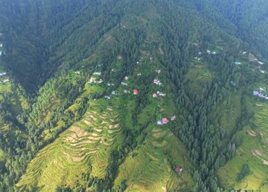 Aerial View of Almora Hills, Dense Forests and Terraced Fields in Uttarakhand