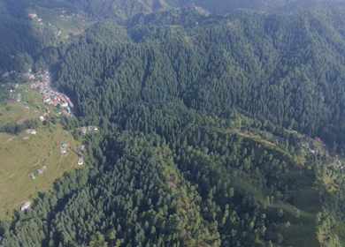 Aerial View of Almora Hills, Dense Forests and Terraced Fields in Uttarakhand