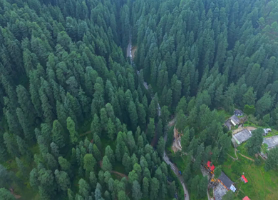 Aerial View of Almora Hills, Dense Forests and Terraced Fields in Uttarakhand