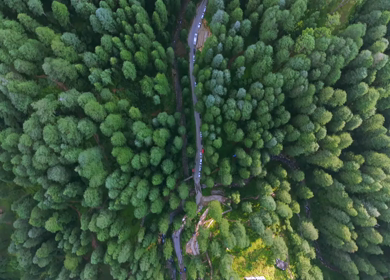 Aerial View of Almora Hills, Dense Forests and Terraced Fields in Uttarakhand