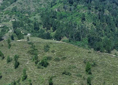 Aerial View of Almora Town and Himalayan Mountains Uttarakhand