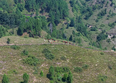 Aerial View of Almora Town and Himalayan Mountains Uttarakhand