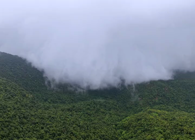 Aerial View of Amboli Ghat in Monsoon Maharashtra