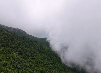 Aerial View of Amboli Ghat in Monsoon Maharashtra