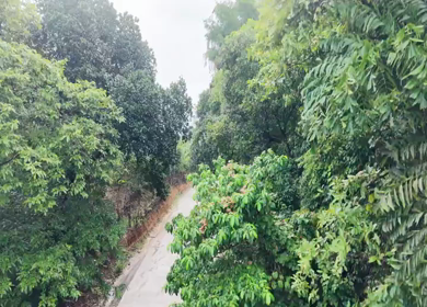 Aerial View of Amboli Ghat in Monsoon Maharashtra