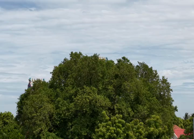 Aerial View of Ariyakkudi Thiruvengadamudaiyan Temple and Village Landscape Tamil Nadu