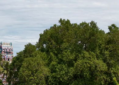 Aerial View of Ariyakkudi Thiruvengadamudaiyan Temple and Village Landscape Tamil Nadu