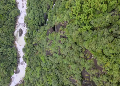 Aerial View of Bamboo Trail Mawryngkhang Trek Wahkhen Meghalaya India