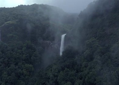 Aerial View of Barki Waterfall Amid Lush Green Forest Kolhapur Maharashtra