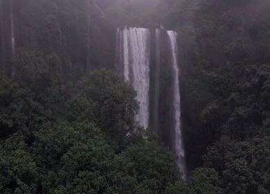 Aerial View of Barki Waterfall Amid Lush Green Forest Kolhapur Maharashtra