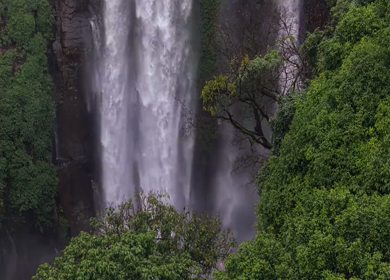 Aerial View of Barki Waterfall Amid Lush Green Forest Kolhapur Maharashtra