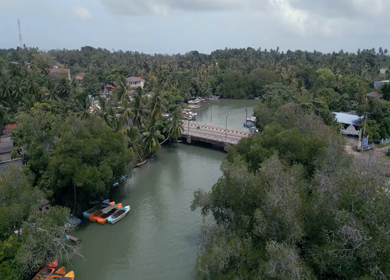 Aerial View of Bentota River and Bridge with Tropical Landscape Sri Lanka