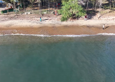 Aerial View of Coconut Groves and Coastline at Erwadi Tamil Nadu India