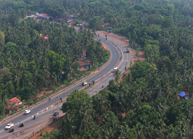 Aerial View of Curving Highway Through Coconut Palm Forest Karnataka