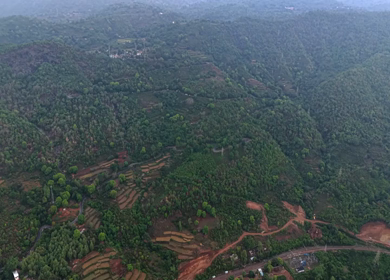 Aerial View of Densely Forested Mountain Ranges in Andhra Pradesh