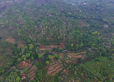 Aerial View of Densely Forested Mountain Ranges in Andhra Pradesh