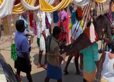 27th April 2026 : Aerial View of Devotee Performing Alagu Kuthu Ritual During Festival in Sivaganga India