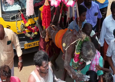 27th April 2026 : Aerial View of Devotee Performing Alagu Kuthu Ritual During Festival in Sivaganga India