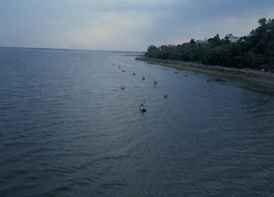 Aerial View of Fishermen Fishing in the Narmada River Near Jabalpur, India