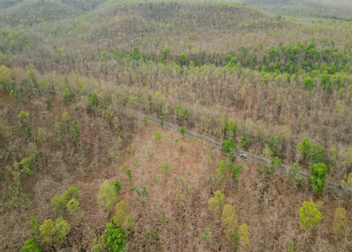 Aerial View of Forest Road Near Bhopal Madhya Pradesh India