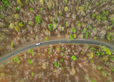 Aerial View of Forest Road Near Bhopal Madhya Pradesh India