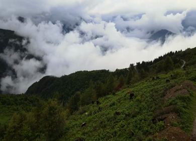 Aerial View of Cloud Covered Forested Hills at Mandala Top near Dirang Arunachal Pradesh India