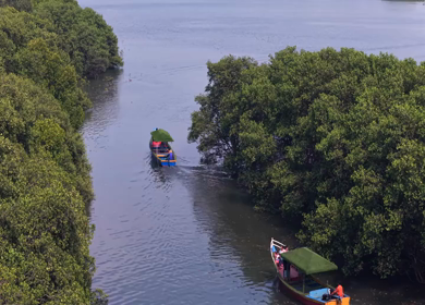 Aerial View of Honnavar Backwaters and Mangrove Islands Karnataka