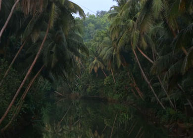 Aerial View of Honnavar Backwaters and Mangrove Islands Karnataka