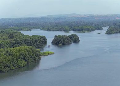 Aerial View of Honnavar Backwaters and Mangrove Islands Karnataka