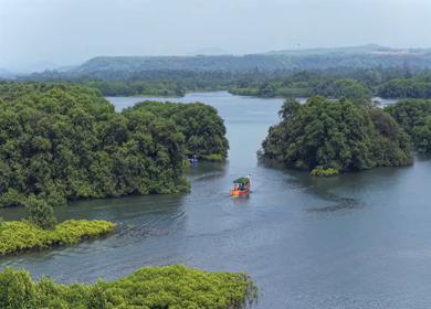 Aerial View of Honnavar Backwaters and Mangrove Islands Karnataka