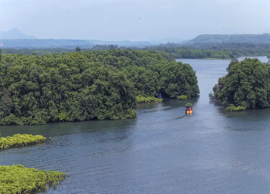 Aerial View of Honnavar Backwaters and Mangrove Islands Karnataka