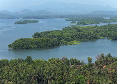 Aerial View of Honnavar Backwaters and Mangrove Islands Karnataka