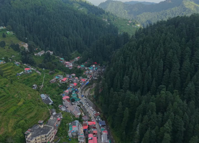 Aerial View of Jageshwar Dham Ancient Stone Temples Amid Dense Deodar Forest, Almora
