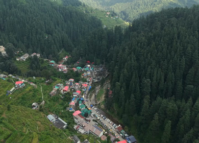 Aerial View of Jageshwar Dham Ancient Stone Temples Amid Dense Deodar Forest, Almora