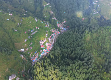 Aerial View of Jageshwar Dham Ancient Stone Temples Amid Dense Deodar Forest, Almora