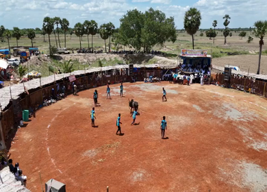 16th January 2026 : Aerial View of Jallikattu Event Traditional Tamil Bull Taming Sport Tamil Nadu India