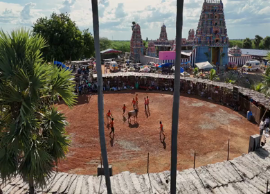 16th January 2026 : Aerial View of Jallikattu Event Traditional Tamil Bull Taming Sport Tamil Nadu India