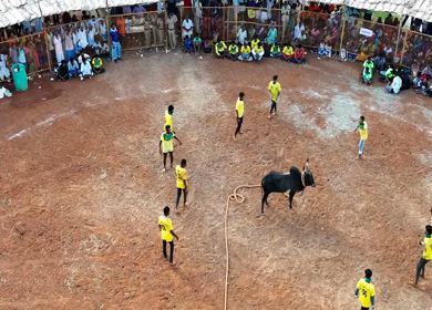 16th January 2026 : Aerial View of Jallikattu Event Traditional Tamil Bull Taming Sport Tamil Nadu India