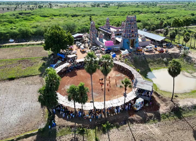 Aerial View of Jallikattu Event Traditional Tamil Bull Taming Sport Tamil Nadu India