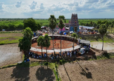 Aerial View of Jallikattu Event Traditional Tamil Bull Taming Sport Tamil Nadu India
