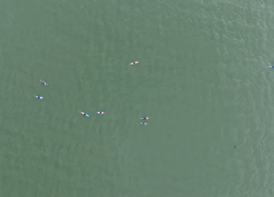 Aerial View of Kayaking on Upper Lake Bhojtal, Bhopal