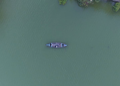 Aerial View of Kerala Backwaters with Coconut Trees and Boat in India