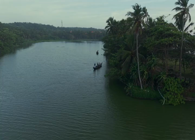 Aerial View of Kerala Backwaters with Coconut Trees and Boat in India