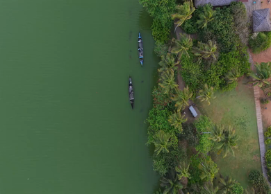 Aerial View of Kerala Backwaters with Coconut Trees and Boat in India